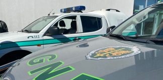 Autoridades lançam campanha de sensibilização “Ao volante, o telemóvel pode esperar”