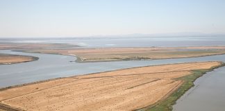 Utentes do Estuário do Tejo pedem ao Governo mais médicos de família