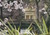 Parque D. Carlos I, nas Caldas da Rainha, mantém ligação histórica ao termalismo