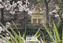 Parque D. Carlos I, nas Caldas da Rainha, mantém ligação histórica ao termalismo