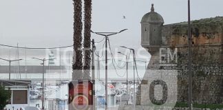 Mais de 12 toneladas de tubarão anequim apreendidas em Peniche