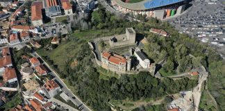 Leiria renova floresta da encosta do castelo com cerca de 600 árvores e arbustos
