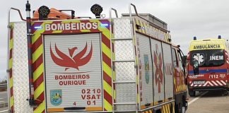 Condutor de pesado de mercadorias morre em despiste no IC1 em Ourique