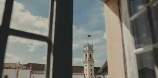 Investigador da Universidade de Coimbra descobre nova flora de plantas angiospérmicas