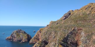 Captura de percebes nas Berlengas vai ser mais controlada