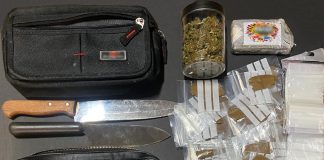 PSP desmantela banca de droga no bairro Quinta do Loureiro em Lisboa