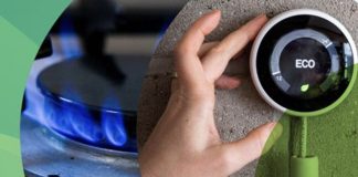 Crise/Energia: UE reduz consumo de gás natural em 19,3% entre agosto e janeiro