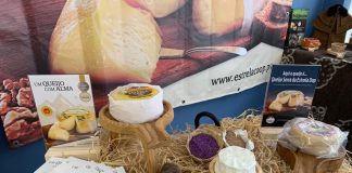 Candidatura do queijo Serra da Estrela DOP a património da UNESCO em preparação