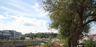 Autarca de Torres Novas afirma que MKA desistiu de projeto de medicina na cidade devido a “questiúnculas”
