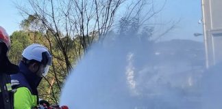 Abrantes: Habitação destruída pelas chamas em Alvega