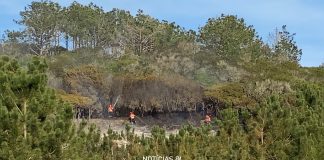 Incêndios: Região de Leiria preocupada com ausência de informação sobre Carta de Perigosidade