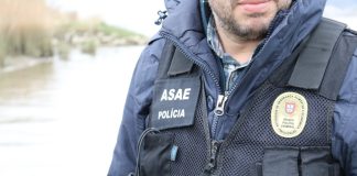 ASAE desmantela empresas ilegais em Grândola e apreende 1,4 toneladas de bivalves