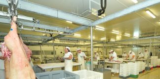Empresa do Alentejo de carne suína quer exportar para 80 países e faturar 120 ME