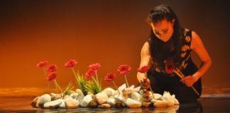 Torres Vedras: Companhia de Ballet de Niterói apresenta espectáculo no Teatro-Cine