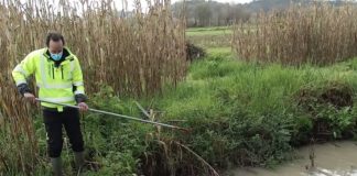 Leiria: Serviço Municipal de Vigilância Ambiental foi criado há dois anos