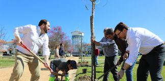 Dia Mundial da Árvore assinalado com a plantação de seis árvores autóctones no Jardim de São Bento