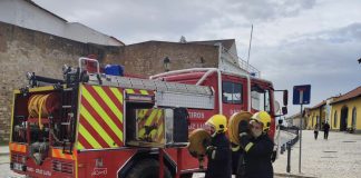 Vinte e quatro concelhos de cinco distritos em perigo máximo de incêndio