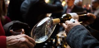 Produção de vinho na campanha 2024/2025 recua 8% para 6,9 milhões de hectolitros
