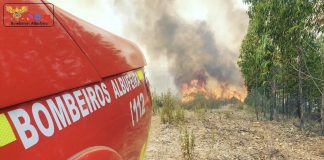 Mais de uma centena de concelhos de 14 distritos em perigo máximo de incêndio