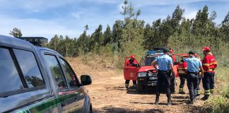 SEPNA registou 412 denúncias na defesa da floresta contra o fogo no distrito de Leiria em 2023