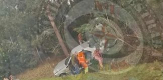 Caldas da Rainha: Quatro feridos em despiste de ligeiro na A8