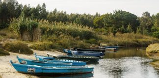 Festa do Bom Verão na Lagoa de Óbidos