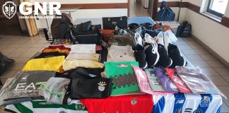 Caldas da Rainha: Mais de 1.900 artigos falsificados apreendidos em mercado semanal