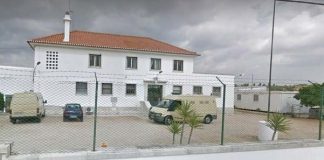 Reclusos de Torres Novas cuidam de horta vertical em projeto solidário