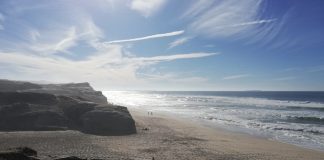 Óbidos: Ação de voluntariado ambiental na praia do Rei Cortiço