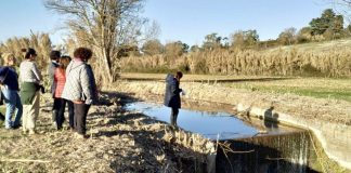 Santarém: Açude de Perofilho vai ser removido para melhorar habitats ribeirinhos