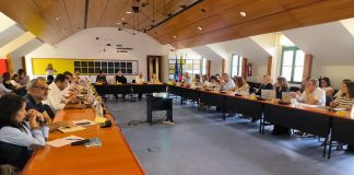 Autarcas dizem que lei das novas comunidades intermunicipais é inconstitucional