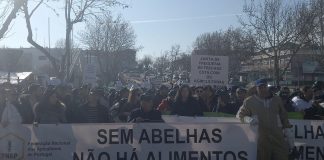 Seca: Apicultores do Algarve em dificuldades queixam-se da falta de apoios – Reportagem