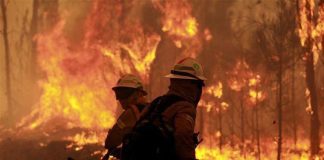 Incêndios: “Nacionalização” do Fundo Revita é inaceitável e repugnante – PSD