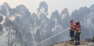 Câmara de Leiria aprova benefícios sociais para bombeiros voluntários