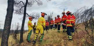 Incêndios: Portugal vai enviar entre 100 a 120 elementos da Proteção Civil para o Canadá