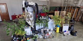 Nazaré: PSP detém homem e apreende estufas de canábis