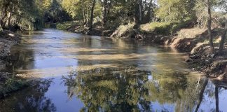 Intervenção de 2,8M euros no Nabão para prevenir cheias e devolver o rio a Tomar