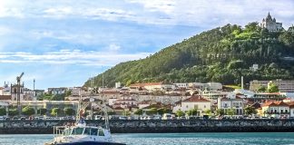 Três toneladas de pescado apreendidas em Sines, Nazaré e Matosinhos