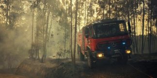 IC8 e EN 2 cortados ao trânsito devido a incêndio em Pedrógão Pequeno, Sertã