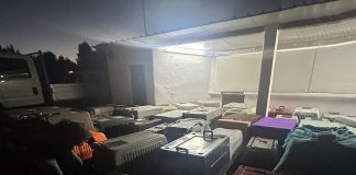 Incêndios: Retirados cerca de 880 animais de associação e canil em Cascais