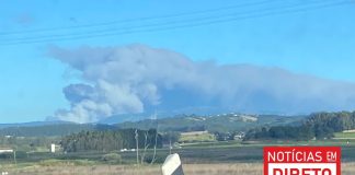 Incêndios: Mais de 360 operacionais combatem fogos na Caranguejeira e em Oliveira de Azeméis