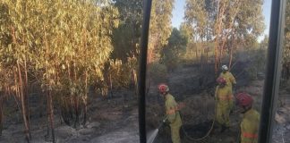 Incêndios: Sete meios aéreos combatem fogo na serra do Montejunto