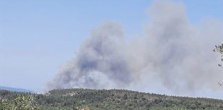 Incêndios: Fogo florestal na Chamusca combatido por quase 150 operacionais