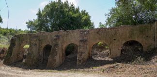 Desmatação de aqueduto em Óbidos concluída até ao final do mês