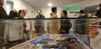 Marinha Grande: Exposição do plesiossauro de São Pedro de Moel no Cosmos