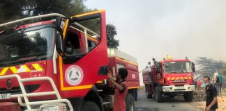 Pelo menos 34 mortos e 14 feridos em acidente rodoviário na Argélia