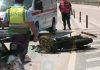 Perseguição após roubo de artigos de luxo termina com suspeito morto em Lisboa