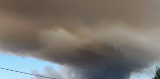 Incêndios: Fogo em Ourém está a evoluir favoravelmente – Proteção Civil