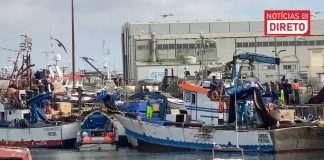 Pescadores podem requerer licença de pesca com redes de tresmalho até 15 de setembro