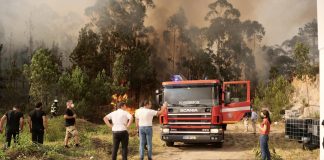 Condenado por incêndio na Caranguejeira em Leiria é suspeito do fogo de Ourém
